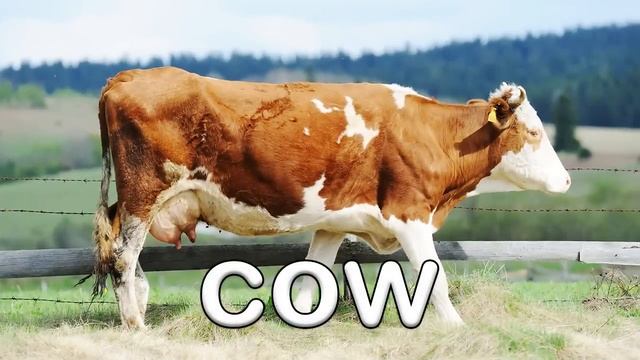 Farm Animal Sounds For Toddlers! | Learn The Names Of Animals | Kids Learning Videos