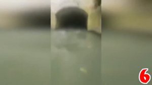 10 НАСТОЯЩИХ РУСАЛОК СНЯТЫХ НА КАМЕРУ