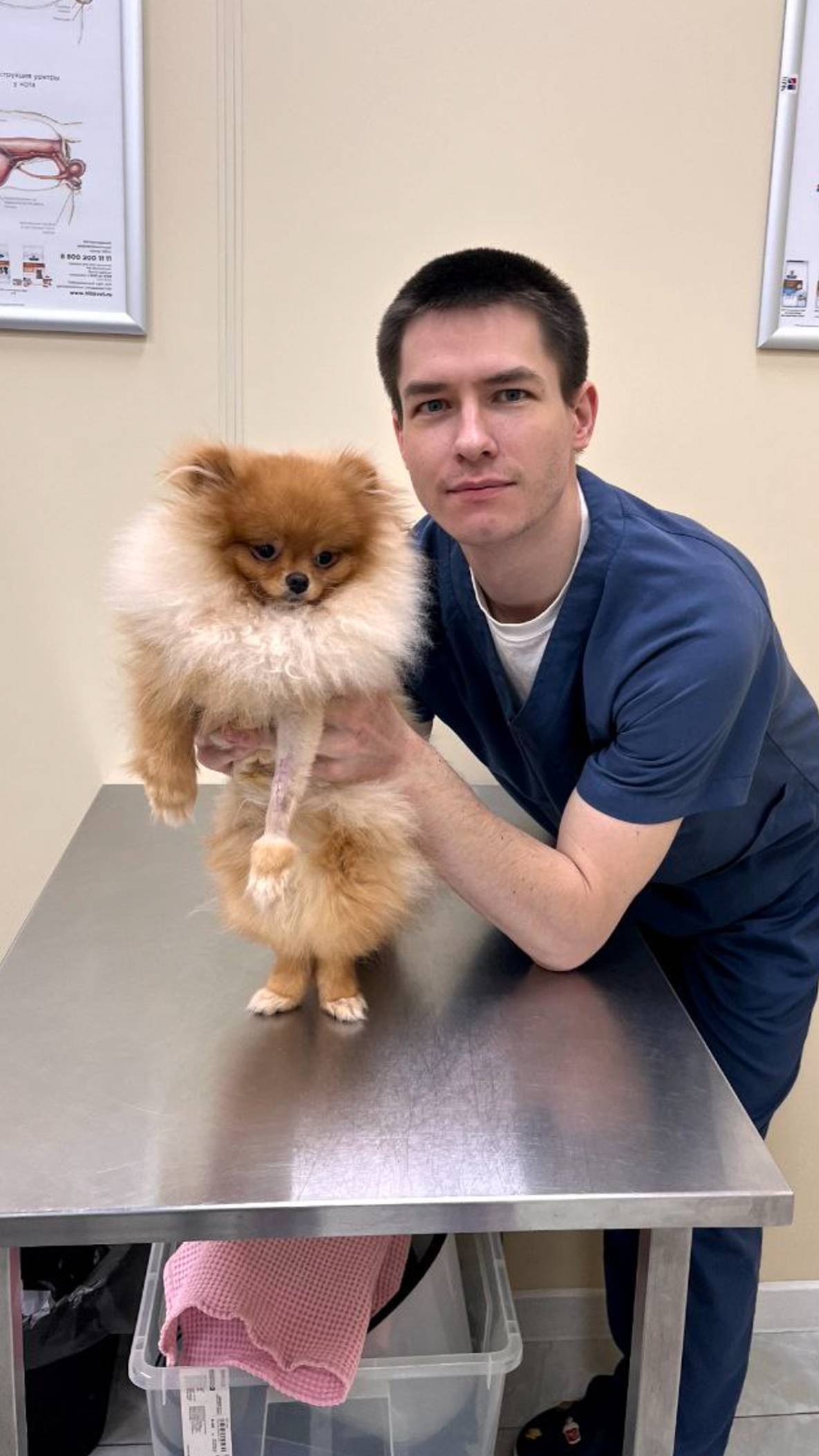 Когда обратиться к ветеринару неврологу смотреть онлайн