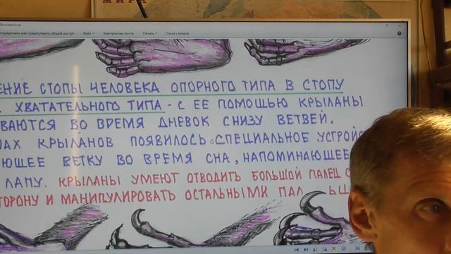 ЧЕЛОВЕКОКРЫЛАНЫ ПРОШЛОГО: как это было? А. Белов смотреть онлайн