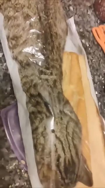 Странный багет смотреть онлайн