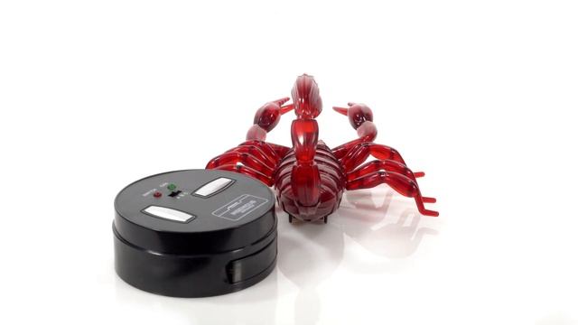 Видео 360°. Роботы