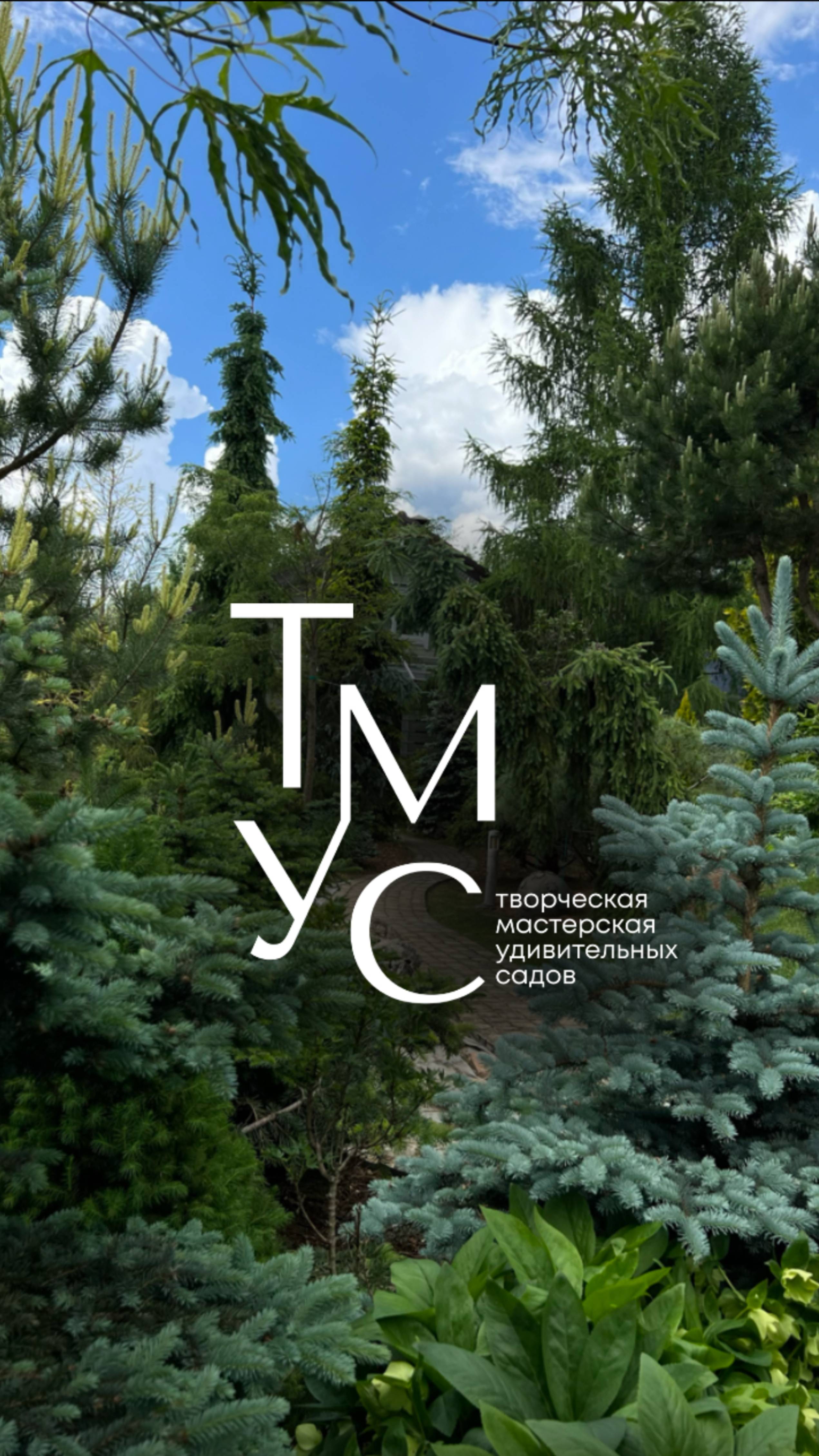 Как появилась Творческая Мастерская Удивительных Садов (ТМУС)? смотреть онлайн