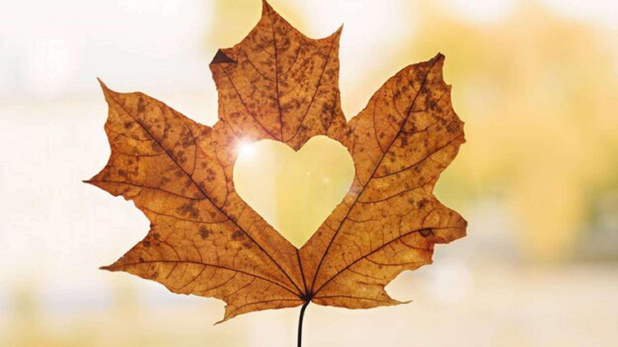 Алексей Брянцев & Елена Касьянова- Я всё ещё люблю..автор ролика Светлый смотреть онлайн