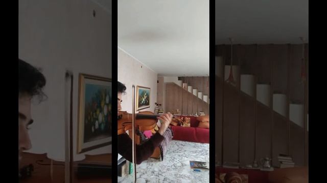 Strauss Don Juan - violin excerpts смотреть онлайн