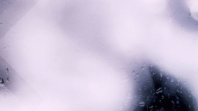 Arman Cekin, Xuitcasecity, Ellusive - Show you off [Lyrics]