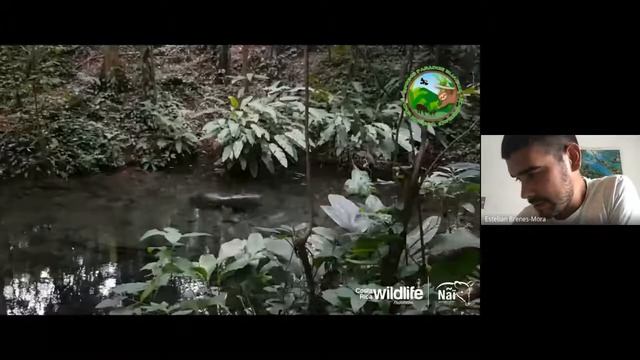 EcoEncontros #327: Esteban Brenes-Mora смотреть онлайн