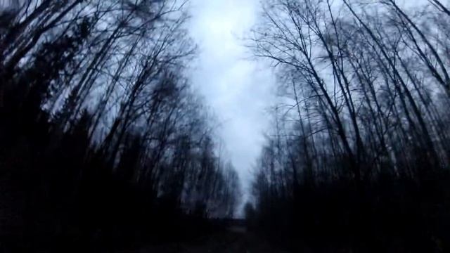 вальдшнеп 20 04 2013 смотреть онлайн