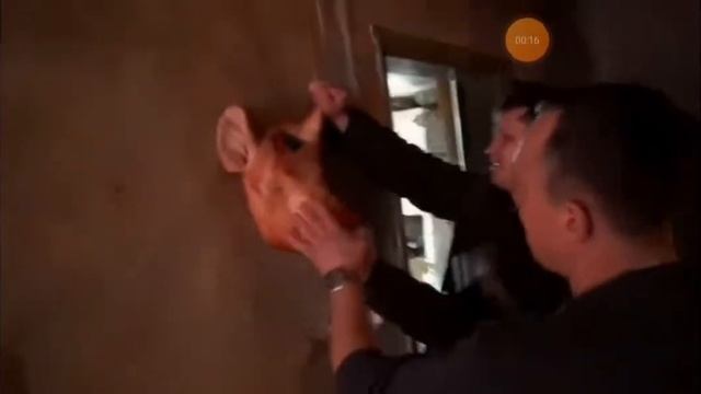 эдит Охотник прибил голову нового маньяка смотреть онлайн