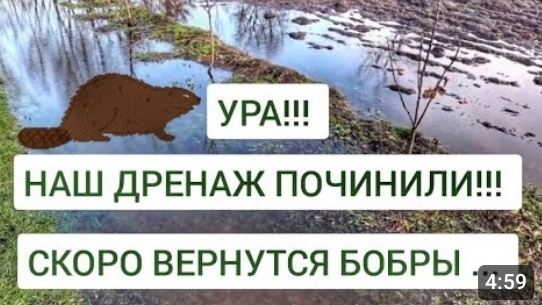 НАМ ПОЧИНИЛИ ДРЕНАЖ. 25.01.2025г. смотреть онлайн