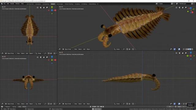 Blender anomalocaris material смотреть онлайн