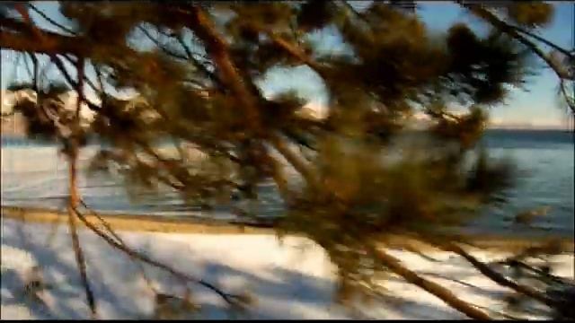 Gohar Hovhannisyan - Helnim Sare