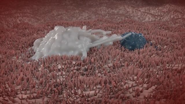 Macrophage responds to virus. смотреть онлайн