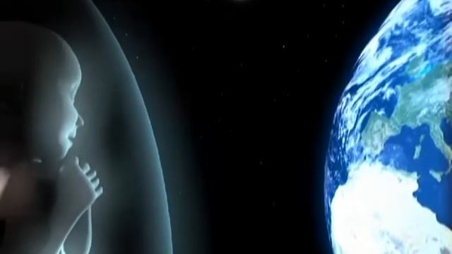 2001_cadira_espacial.mp4 смотреть онлайн