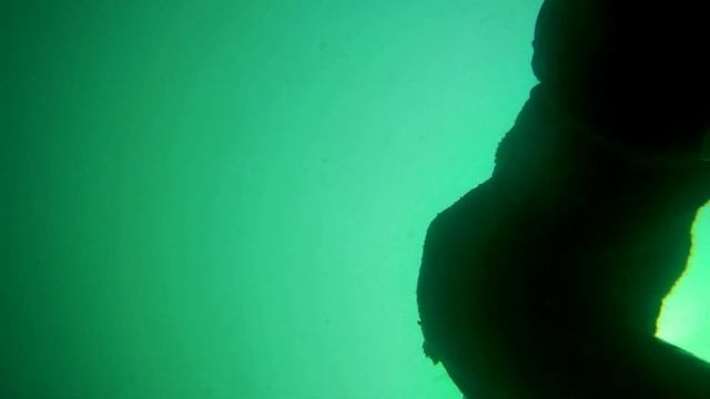 Стая Мор-Миров. Охота в мутняке. смотреть онлайн