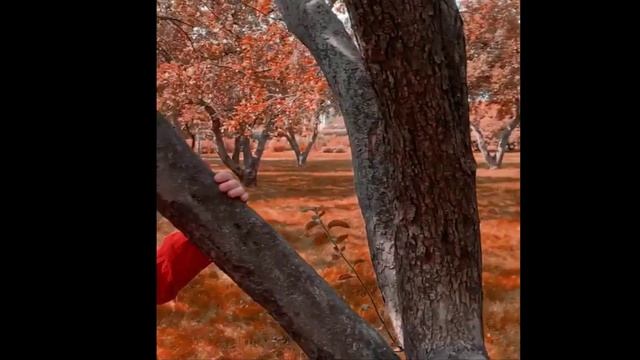 Еврейка и русский смотреть онлайн