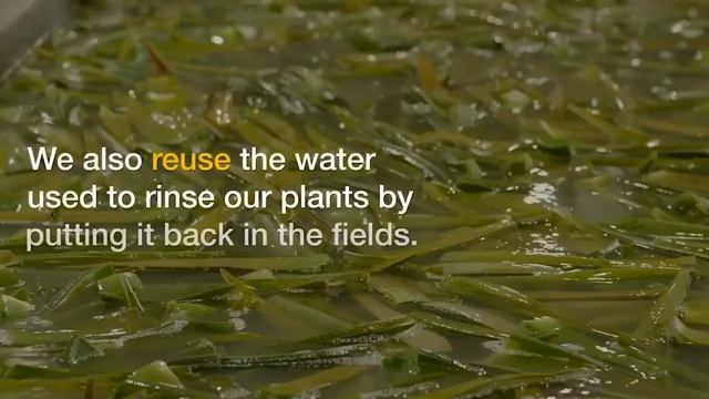 PRODUCT TRAINING With Nina Hill - How Forever Cares For The Environment