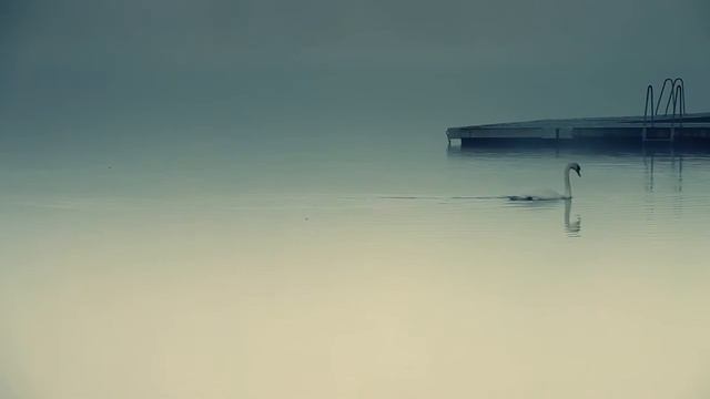 Осень у озера смотреть онлайн