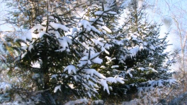 Такая разная зима смотреть онлайн