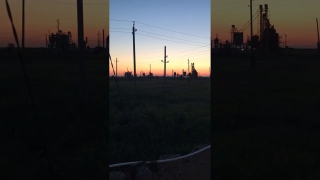 Крик лисы смотреть онлайн