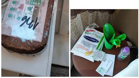 Началась подготовка к Дачному сезону смотреть онлайн