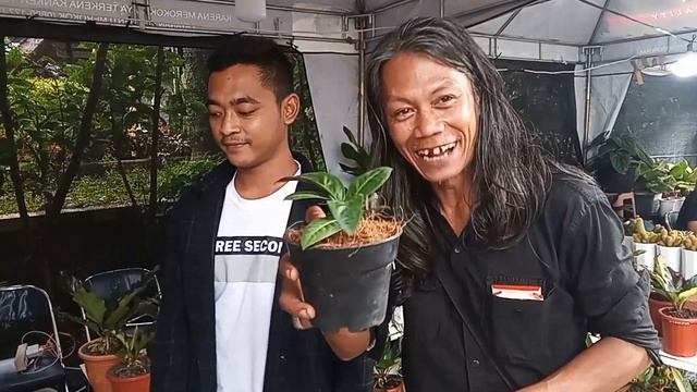 Review Harga Tanaman Hias Di Bursa Tanaman Hias Salatiga Expo ,,banyak Tanaman Berkelas!!