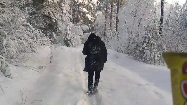 ASMR звуки тишина Зимнего леса в Клязьминской пойме едим мороженое зимой смотреть онлайн