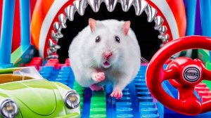 Хомяк попал в мир со СЛОЖНЫМИ ЛОВУШКАМИ и ХИТРЫМИ ИСПЫТАНИЯМИ ! Видео для детей