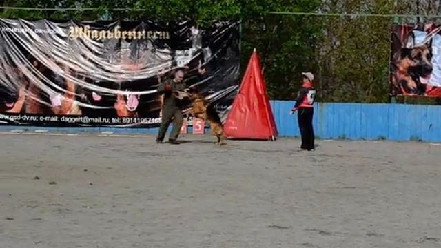 43. OPAL V. KISSLEGER BURG, фактор смотреть онлайн