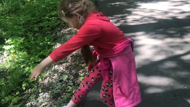 Май. Голоса природы. смотреть онлайн