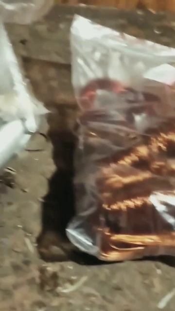 #медь #алюминий #поискметалла #вторсырье #цветнойметалл #медяха #хобби #металокоп #поискмеди смотреть онлайн