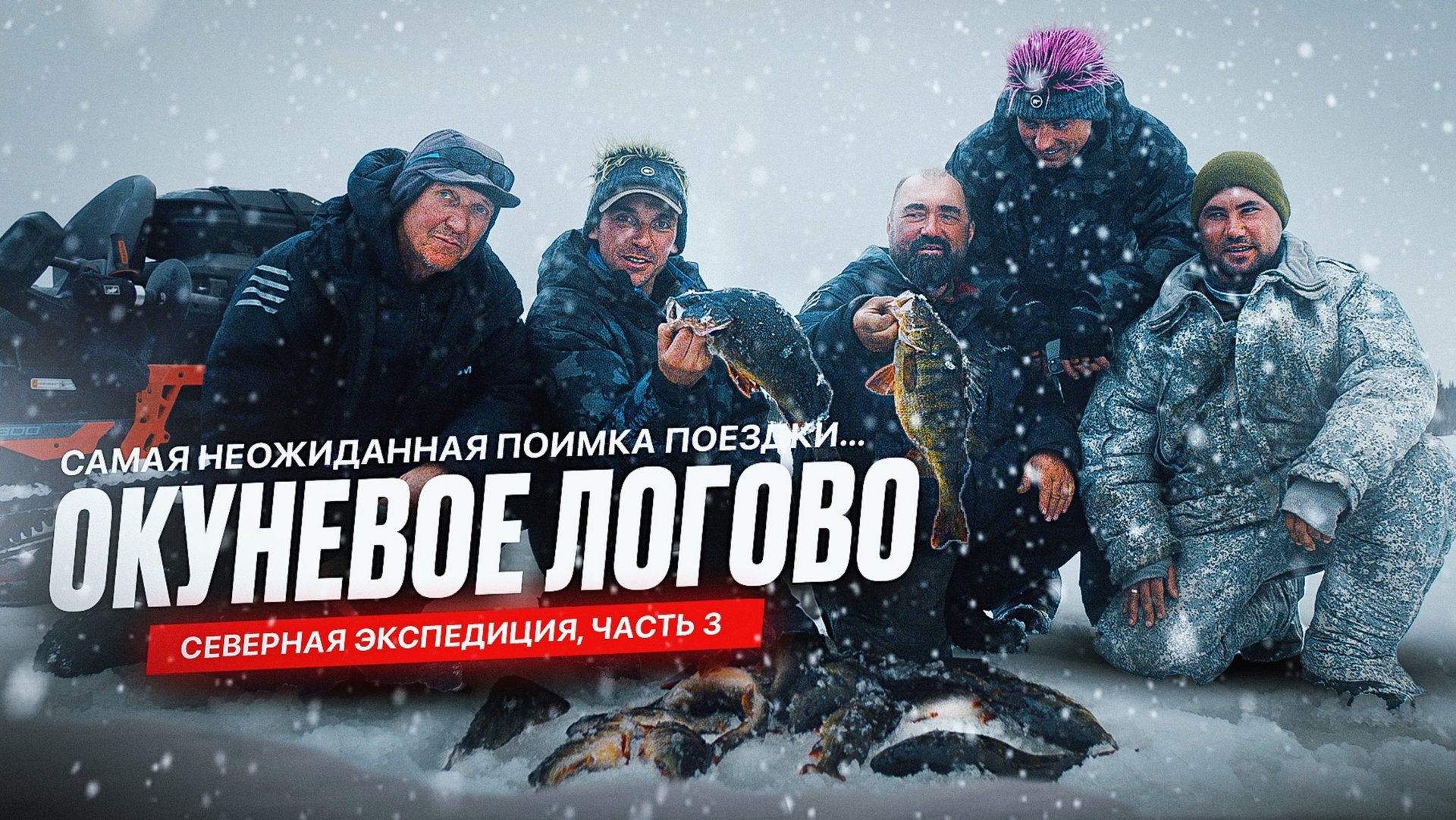 ОКУНЕВОЕ ЛОГОВО. Самая неожиданная поимка поездки... Мурманская экспедиция, часть 3