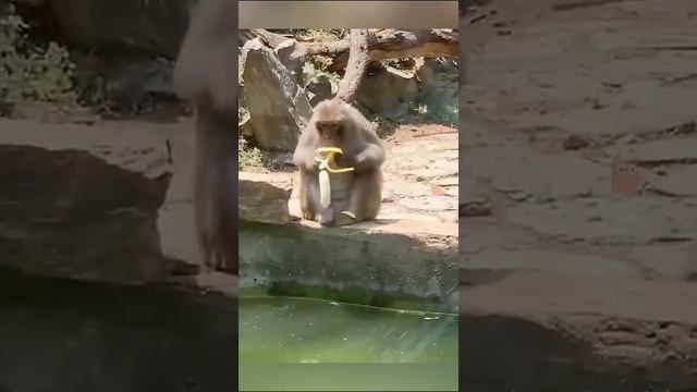 1000000211.mp4 смотреть онлайн