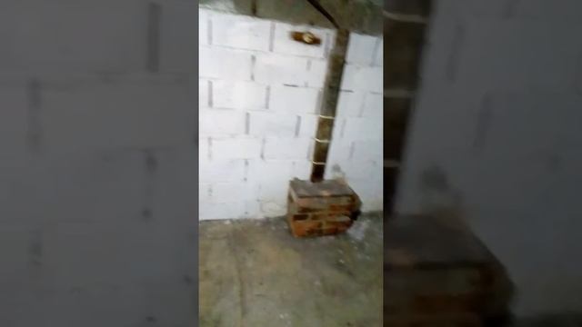 Мой новый сарайчик для нутрий