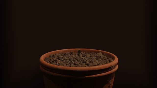 Plant Growth | Blender Geometry Nodes Animation Test смотреть онлайн