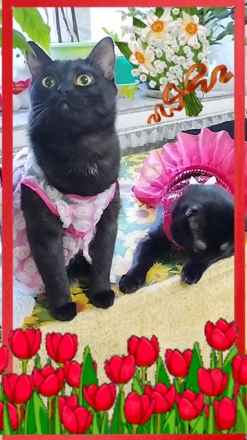 поздравления с 8 марта