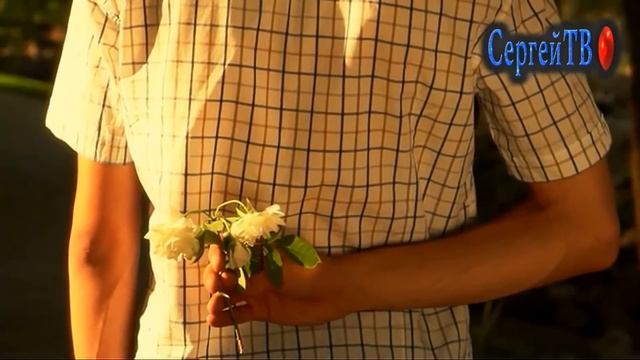Иволга - Николай Голуб смотреть онлайн