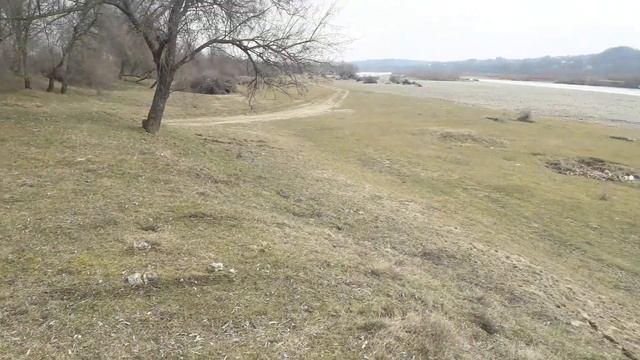 всех нормальных с международным женским днем 8 марта, а остальных с хорошим днем