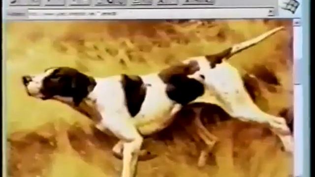 Internet Explorer 1.0 Commercial смотреть онлайн