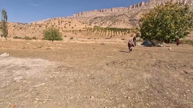 28.10.2023 Холод Ее не остановит Строим Крышу из поддонного дерева смотреть онлайн