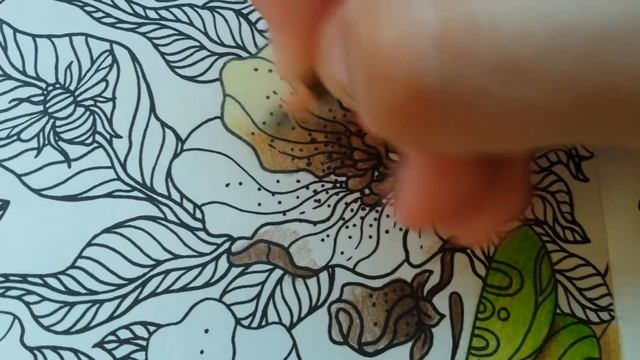 2. Dagdrömmar- KIN Polycolor смотреть онлайн