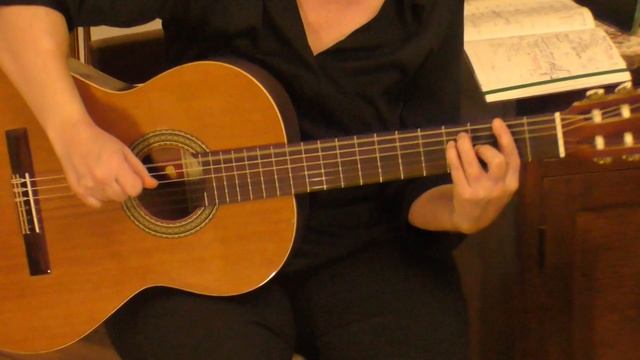 29.  ПОПЫТКА СЕРЕНАДЫ