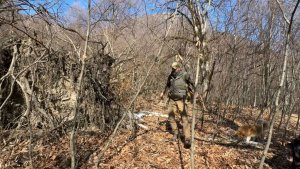 Зимнее Укрытие: Скрытое Убежище, Приготовление пищи на Костре и навыки выживания