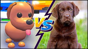 Адопт Ми Питомец vs Реальный Питомец 😱 Карточки Адопт Ми