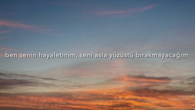 The Catcher In The Rye-ELEPHANZ ( Türkçe çeviri )