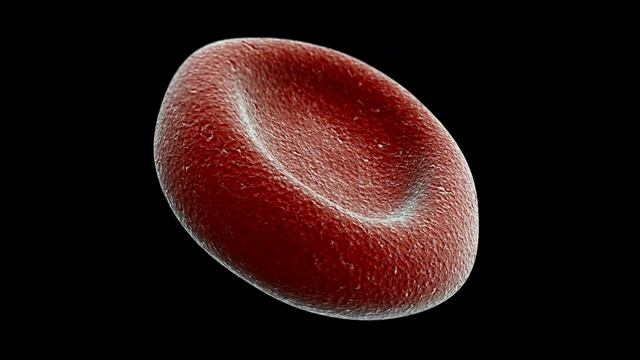 Celula смотреть онлайн