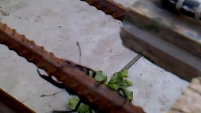 Жук Олень смотреть онлайн