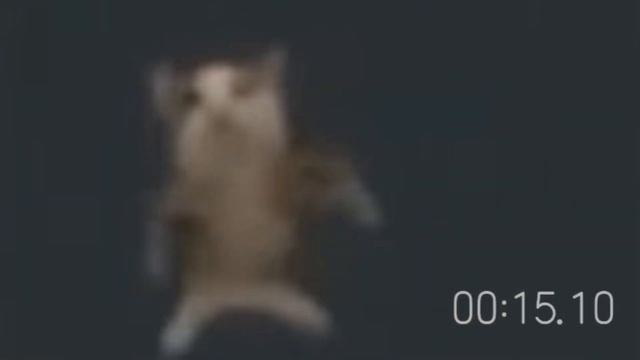 30 секунд тишины в хорошем качестве смотреть онлайн