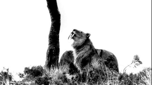 Quest for Fire (1981) | Behind the Scenes смотреть онлайн