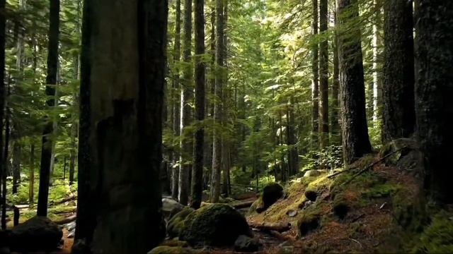 Раслабляющая музыка для глубокого сна , восстановления сил и внутреннего баланса. смотреть онлайн